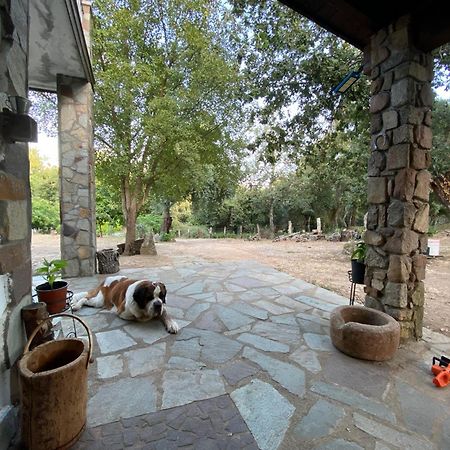 Agriturismo Pranu Sorgono ภายนอก รูปภาพ