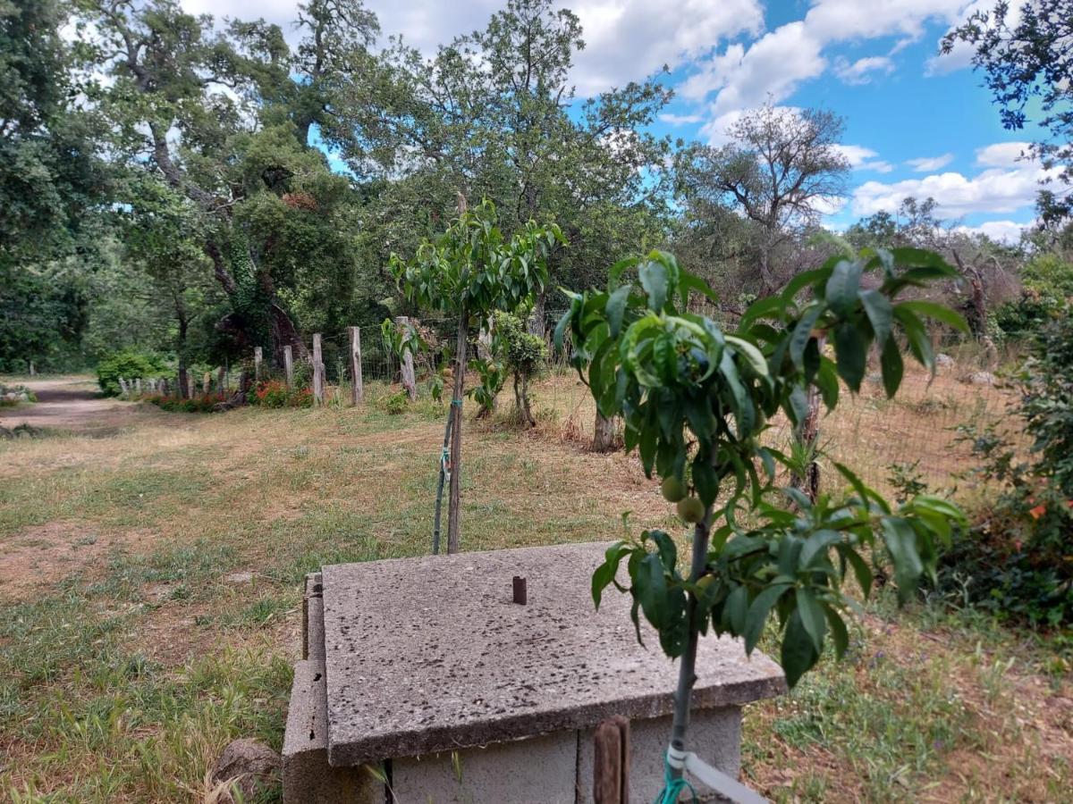 Agriturismo Pranu Sorgono ภายนอก รูปภาพ