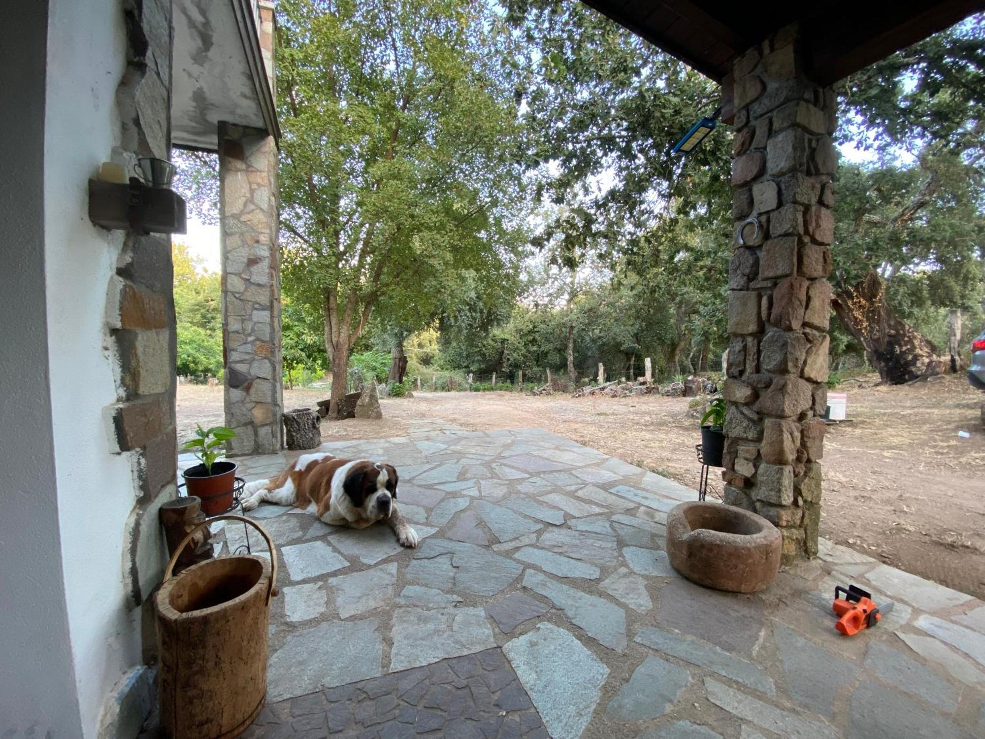 Agriturismo Pranu Sorgono ภายนอก รูปภาพ