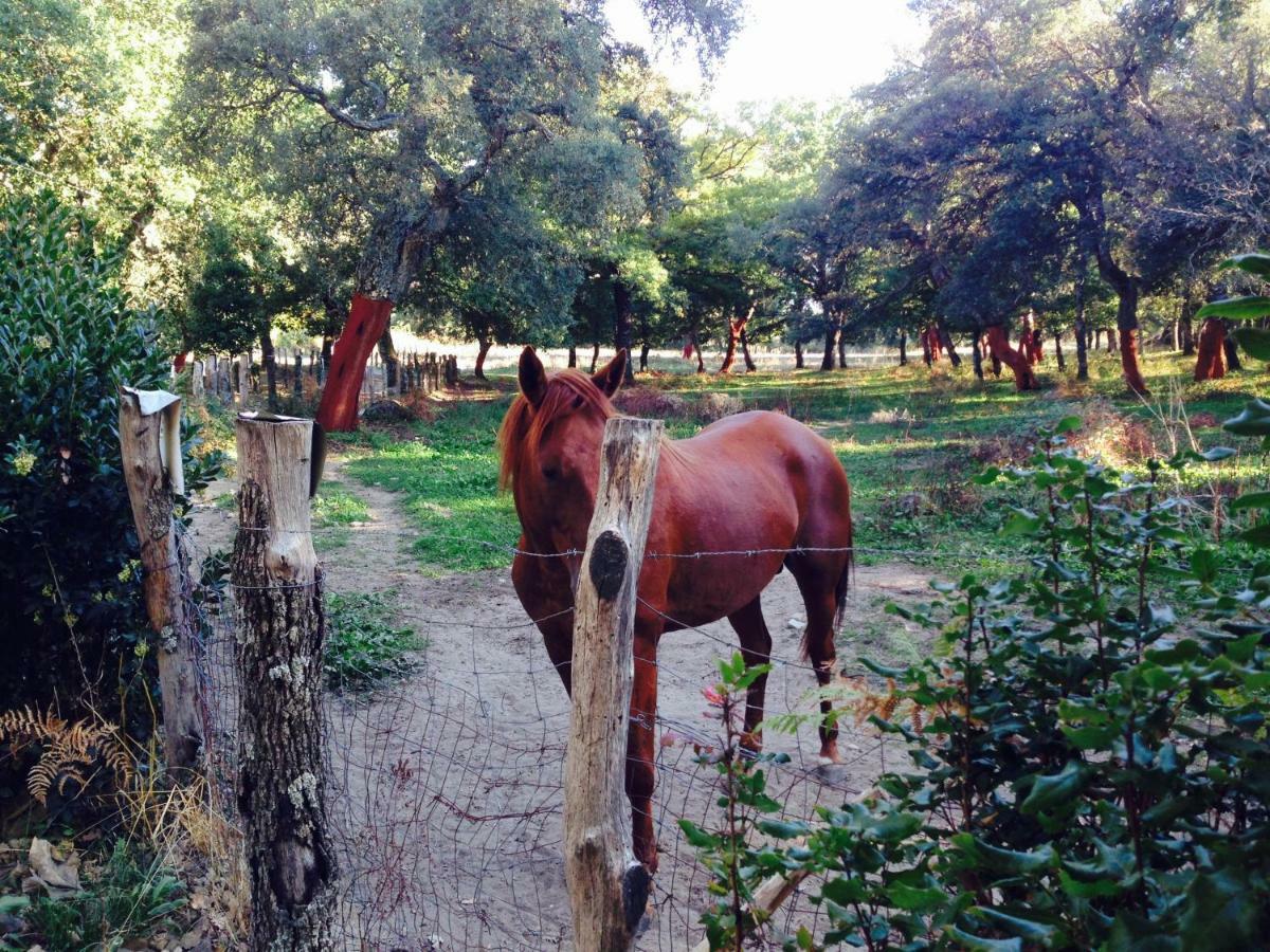 Agriturismo Pranu Sorgono ภายนอก รูปภาพ