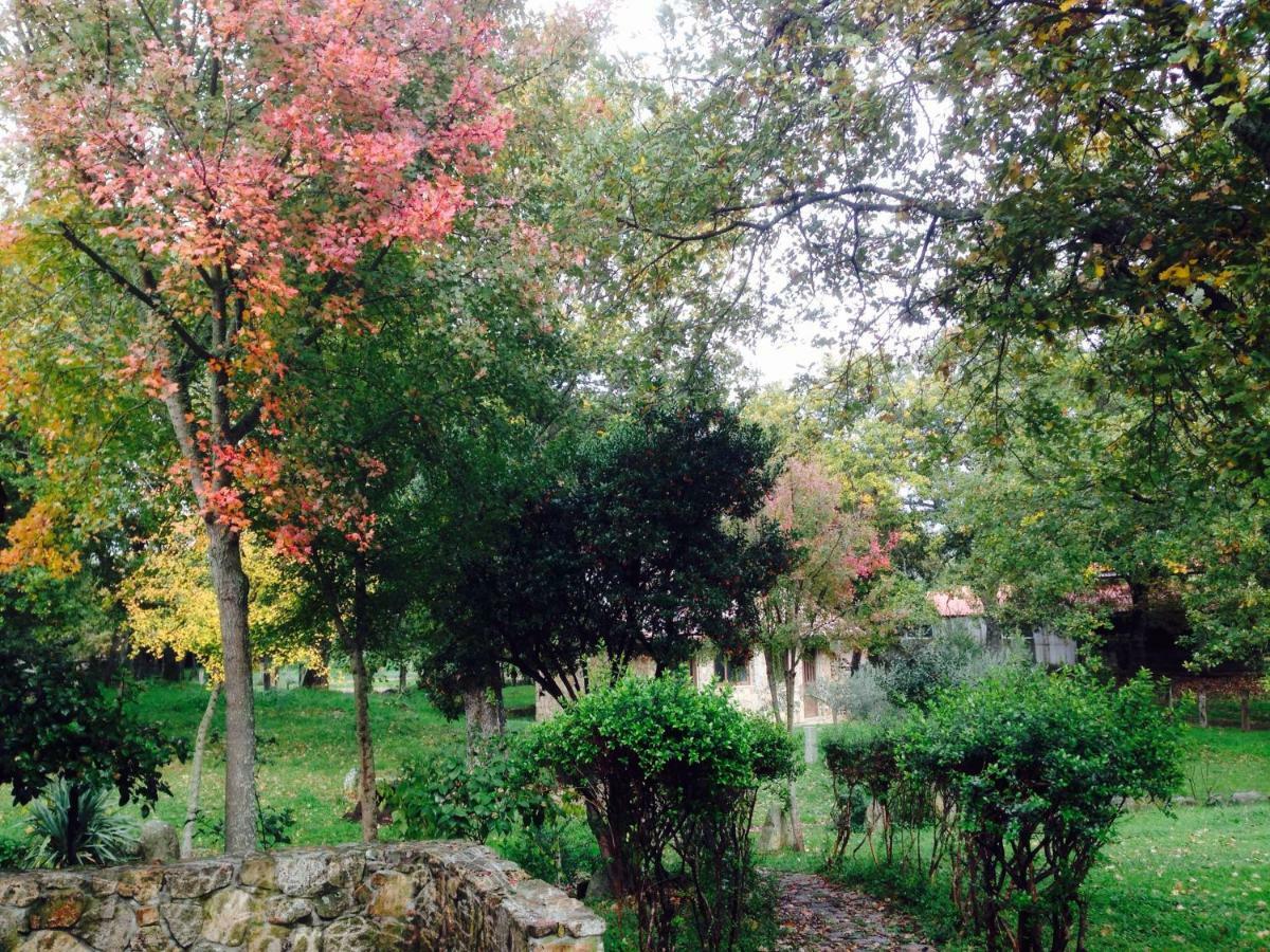 Agriturismo Pranu Sorgono ภายนอก รูปภาพ