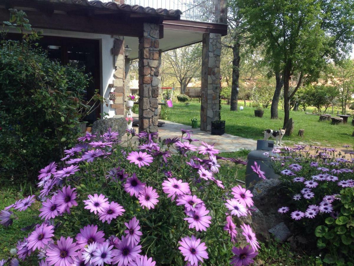 Agriturismo Pranu Sorgono ภายนอก รูปภาพ