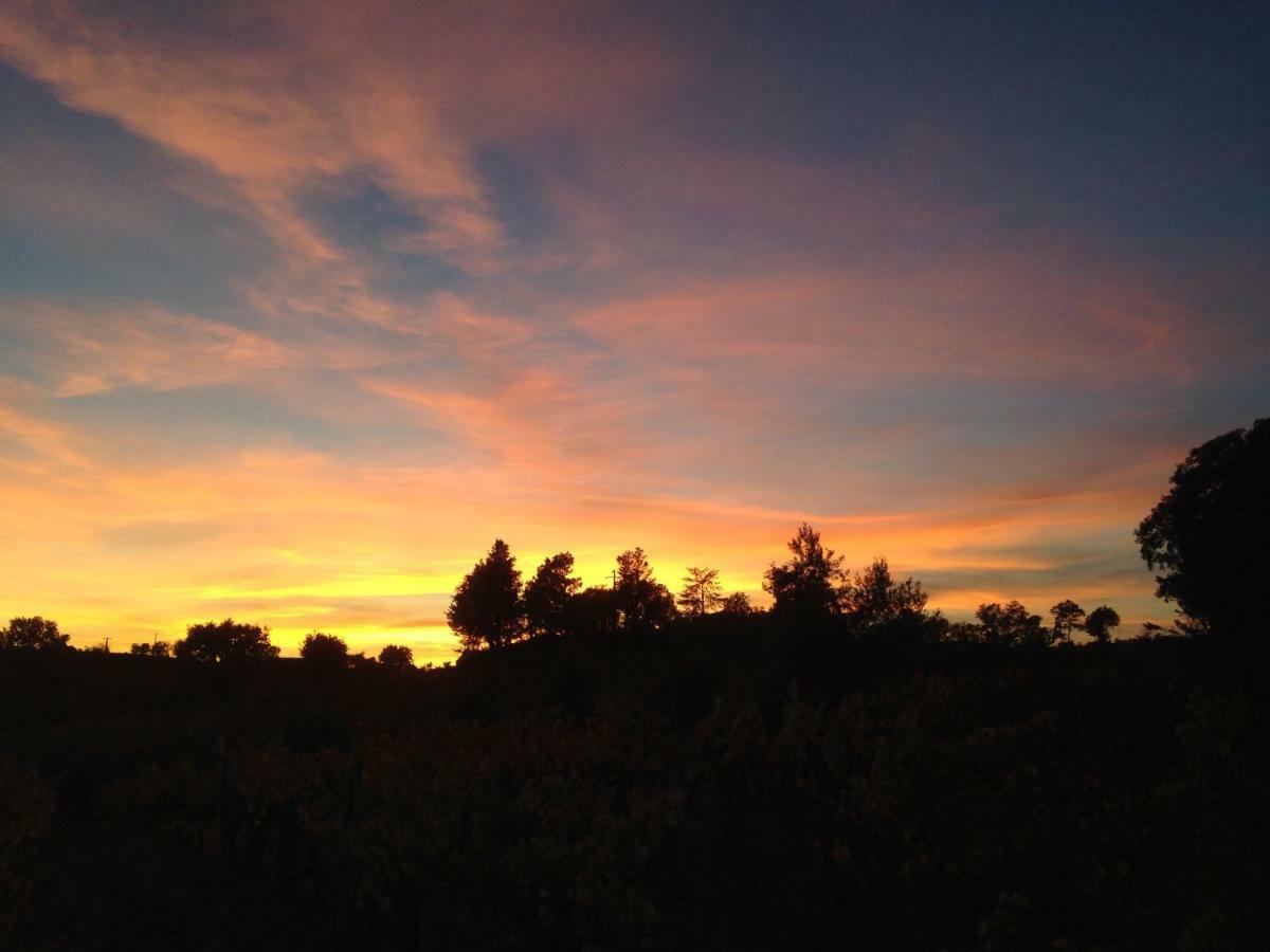 Agriturismo Pranu Sorgono ภายนอก รูปภาพ