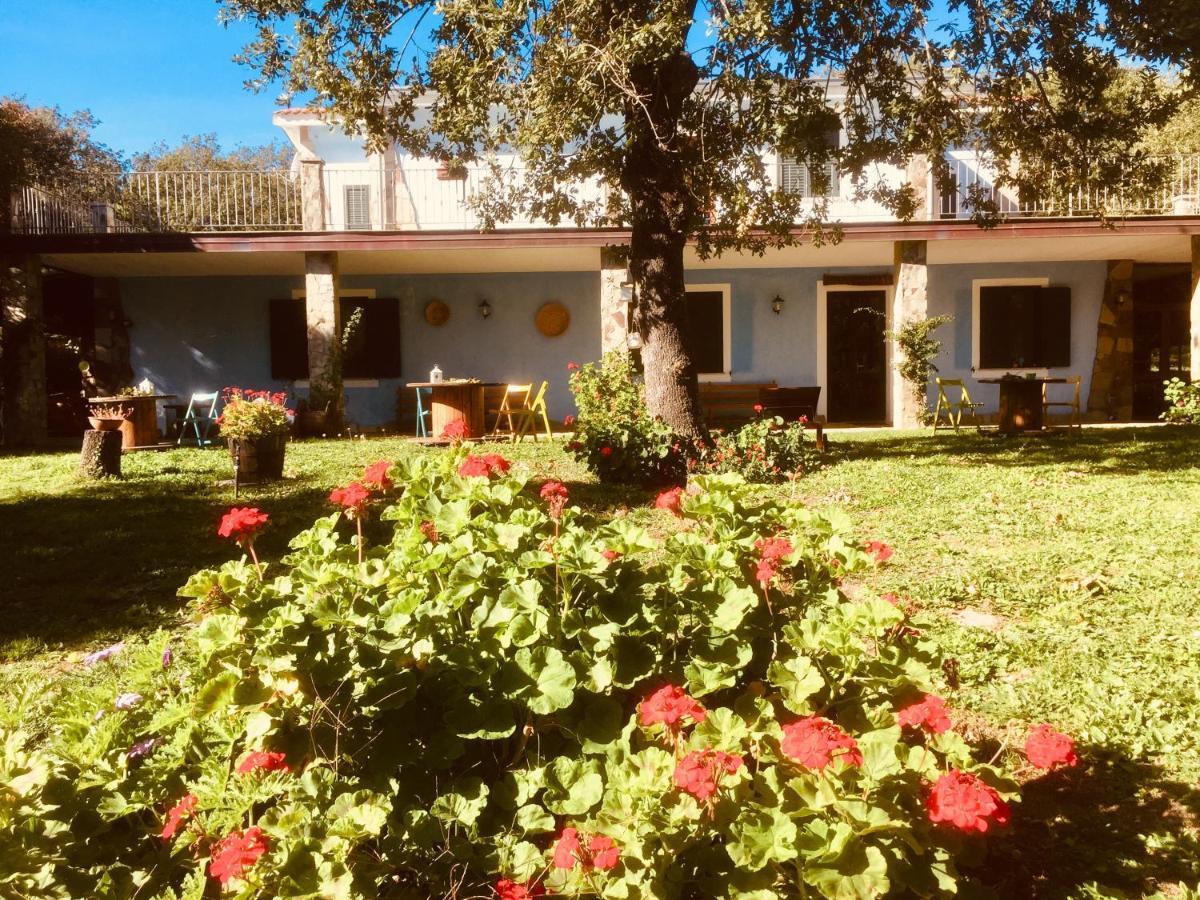Agriturismo Pranu Sorgono ภายนอก รูปภาพ