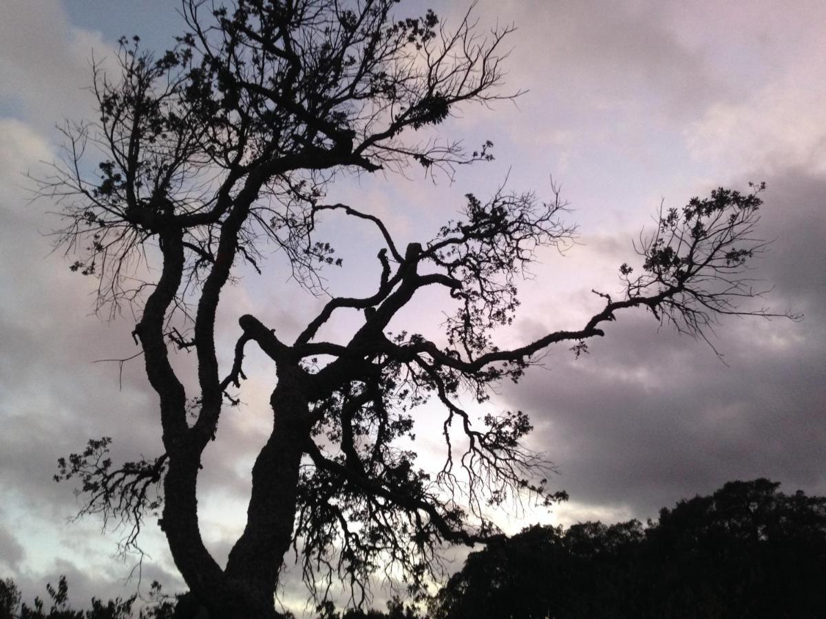 Agriturismo Pranu Sorgono ภายนอก รูปภาพ
